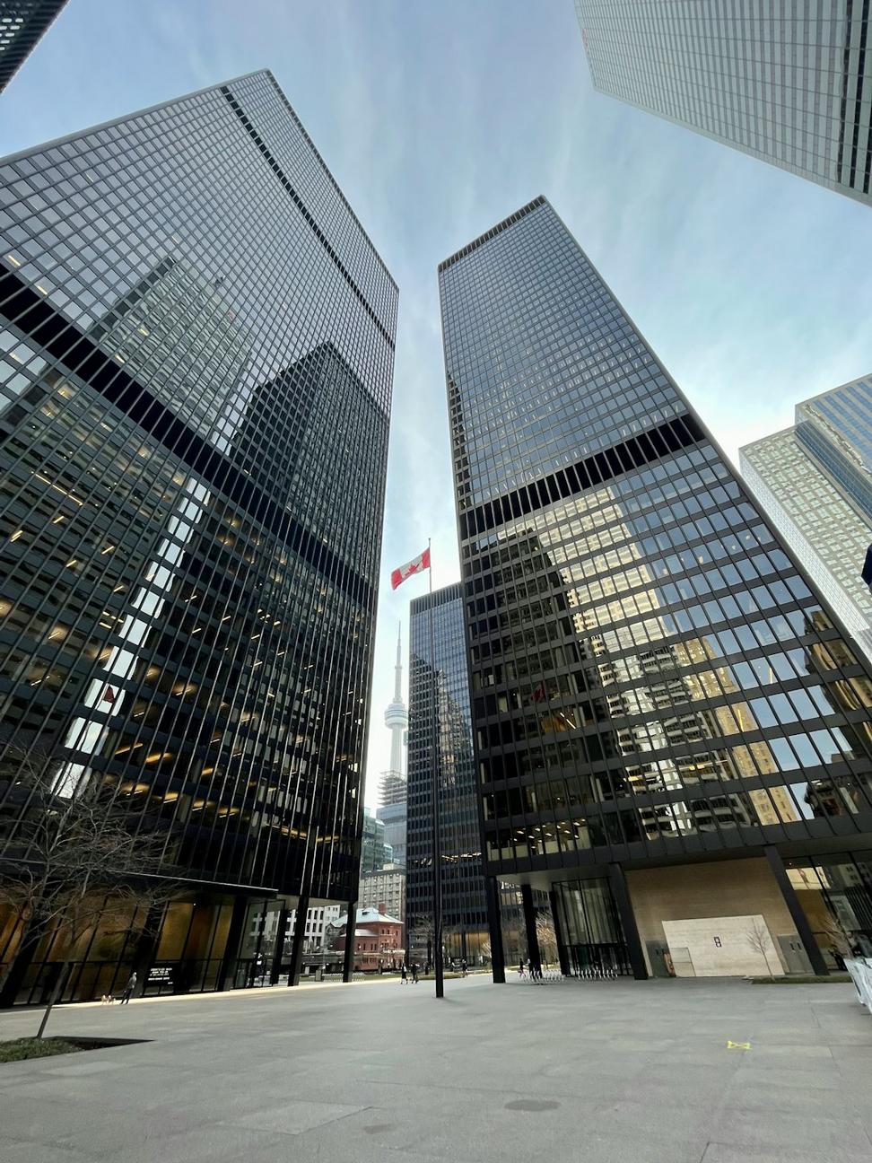 Nonlinear Form Legal Office